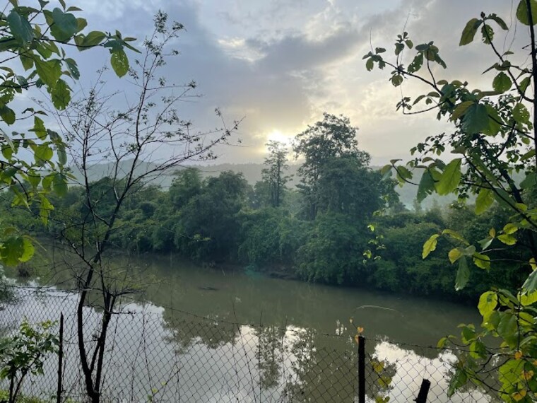 Malshej Ghat_Durshet_3